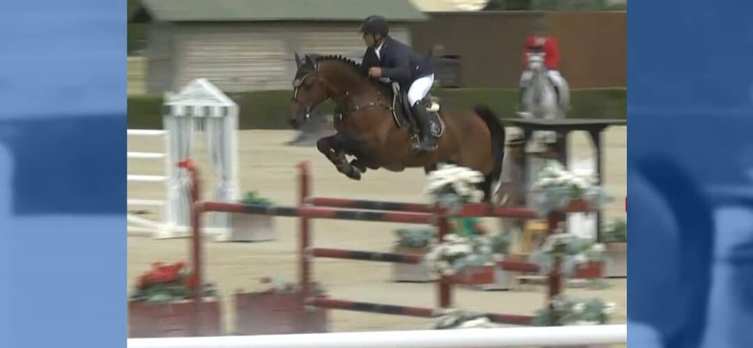 Todo listo para el Campeonato del Mundo de Caballos Jóvenes de Salto de Obstáculos