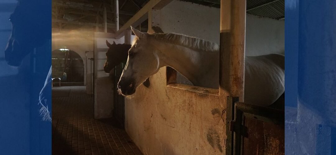 Consejos para ahorrar tiempo durante los meses de invierno en tu cuadra