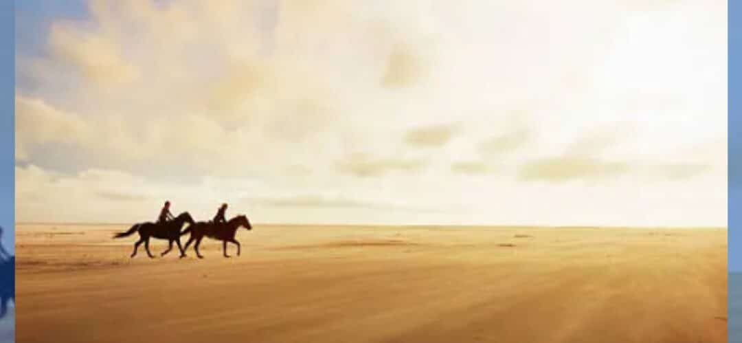 La hípica en Dubái: Lujo, velocidad y tradición