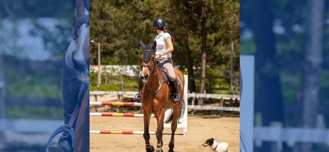 El Gran Premio del CSN2* Club Hípico Equigalia para Javier González Fraga con Tik Tak De Pravia
