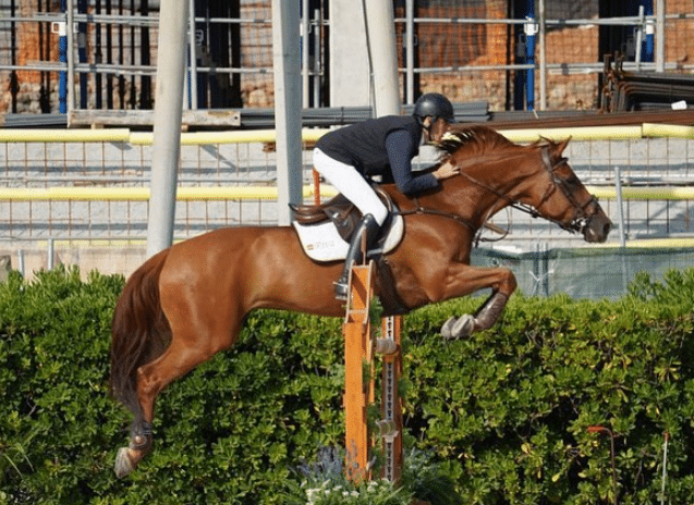 El Gran Premio del CSN2* RSEHCC para Juan Riva Gil