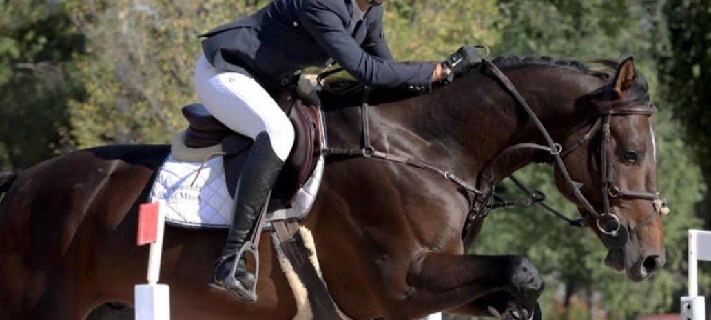 Resultados del Campeonato de España de Yeguadas 2024