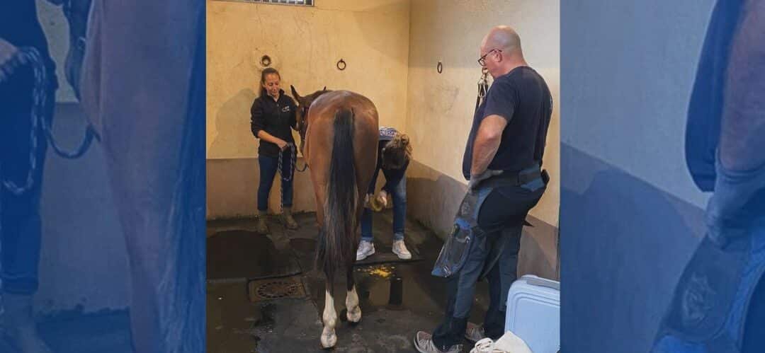 Esperanzadoras noticias tras la operación de Kalu