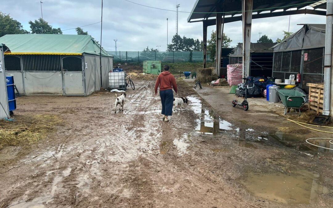 El CHAS a prueba de temporales: ¿Dará tiempo a que las instalaciones estén acondicionadas para el Campeonato de España de Salto de Obstáculos 2024 de menores?