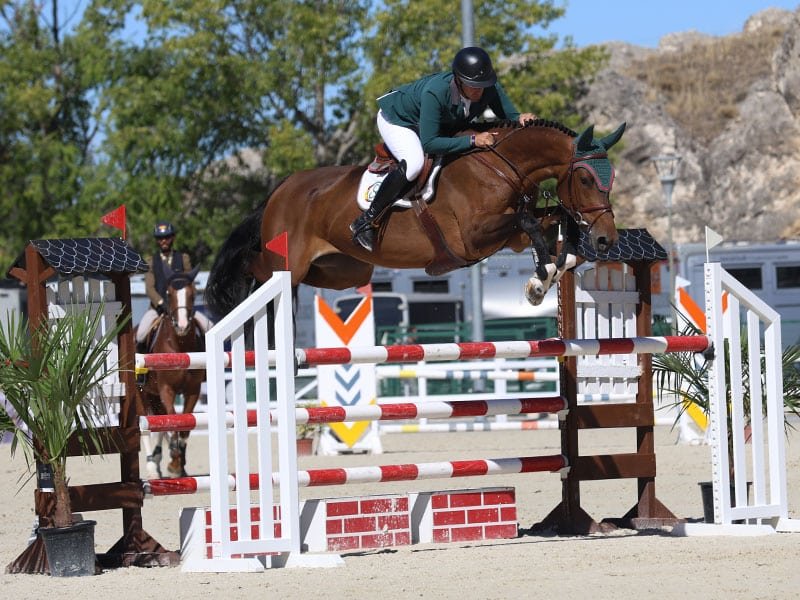 Medallero de las Finales de Caballos Jóvenes ANCADES 2024