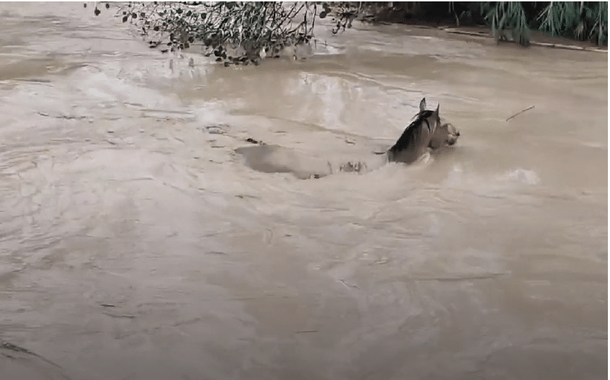 Graves incidentes en el sur de España por fuertes lluvias