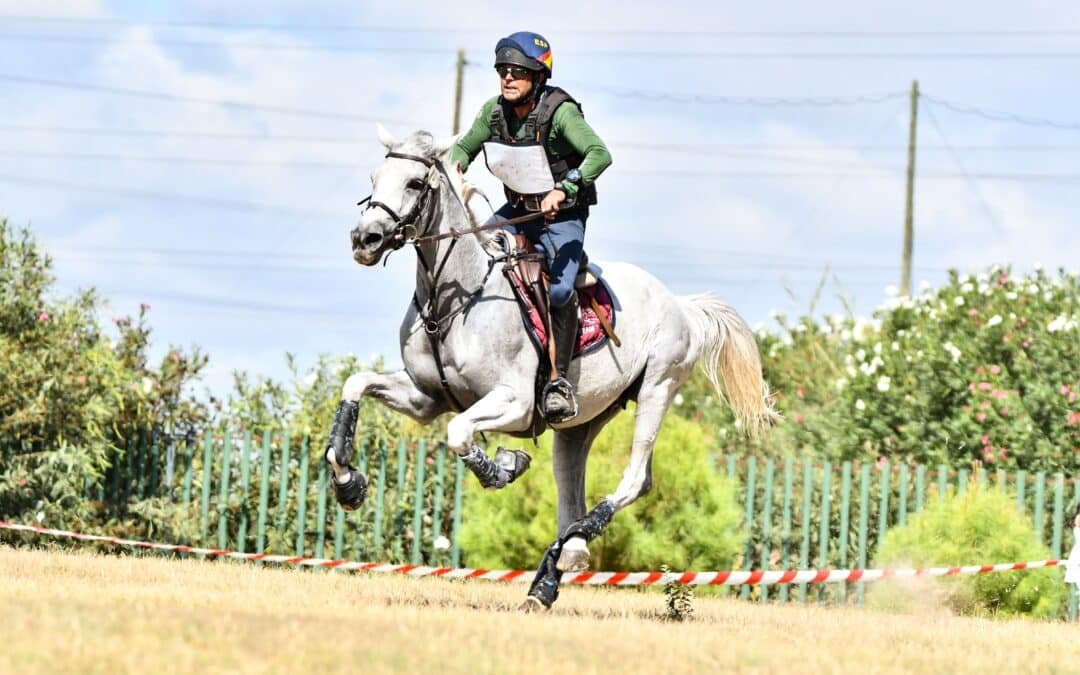 Terminó la Gran Semana del Anglo-Arabe en Sevilla y ya tenemos a los nuevos campeones