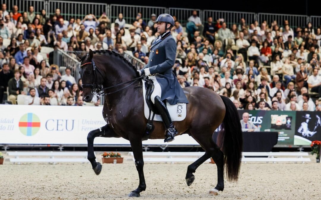 Las mejores razas de caballos utilizadas en Doma Clásica
