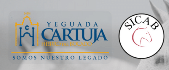 Yeguada Cartuja Hierro del Bocado llega al miércoles de SICAB´24 con multitud de actividades
