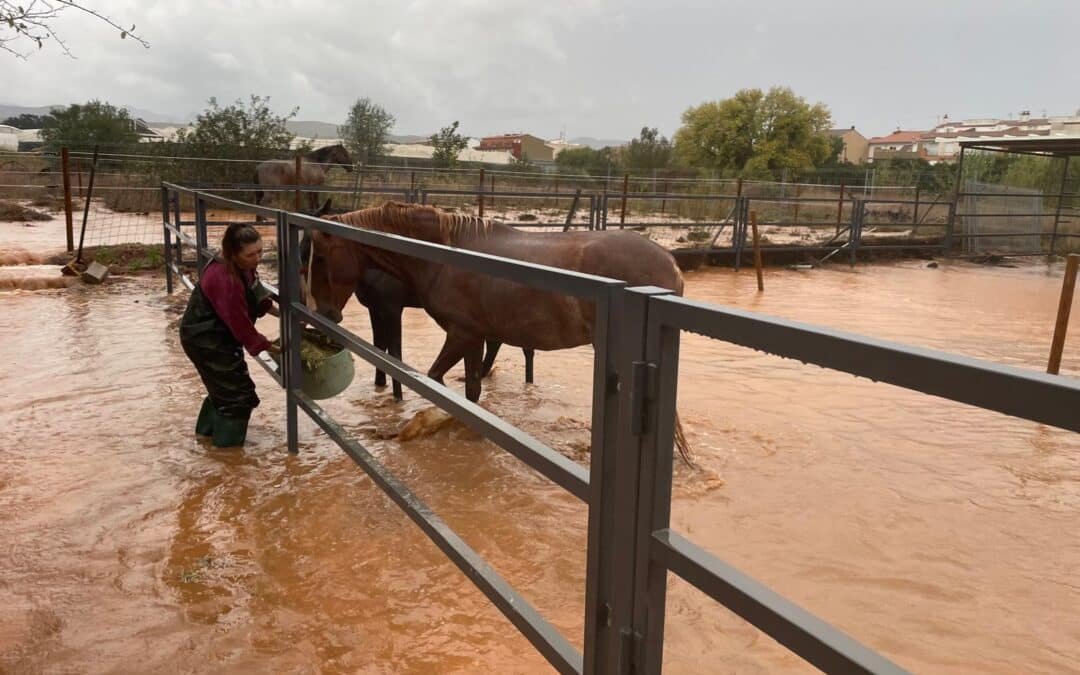 Valencia necesita nuestra ayuda