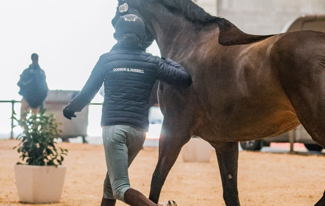 Todo listo para el inicio de IFEMA Madrid Horse Week