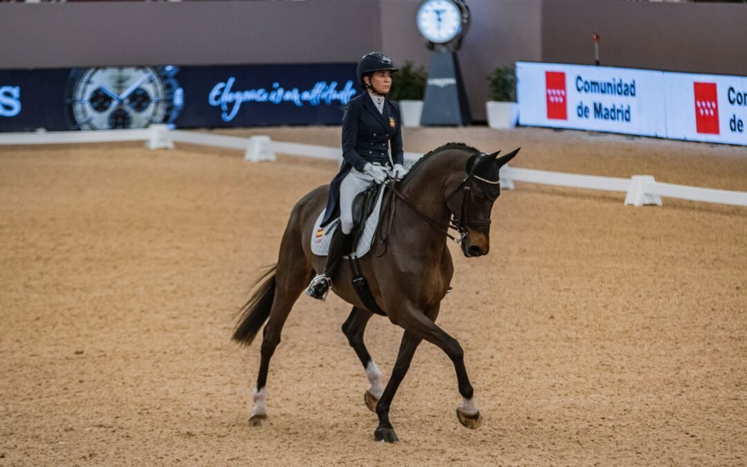 Conoce la vertiente solidaria de Beatriz Ferrer-Salat: hoy hablamos de la Fundación Equus & Friends