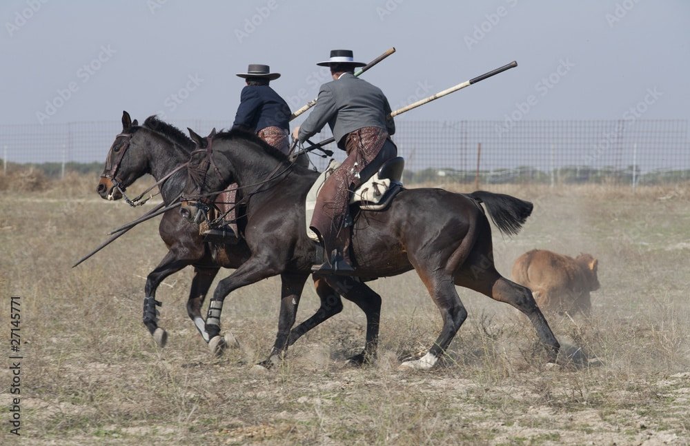 Acoso y Derribo: disciplina vinculada al campo español