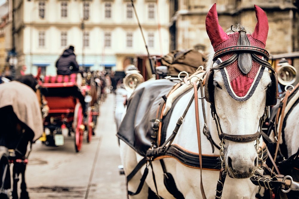 El debate sobre los carruajes de caballos en San Antonio: entre tradición y modernidad