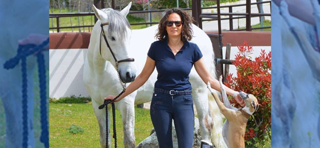 Transforma tu Centro Ecuestre en una máquina de rentabilidad