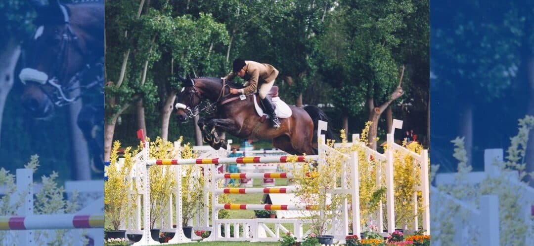 Los caballos en el ejército español