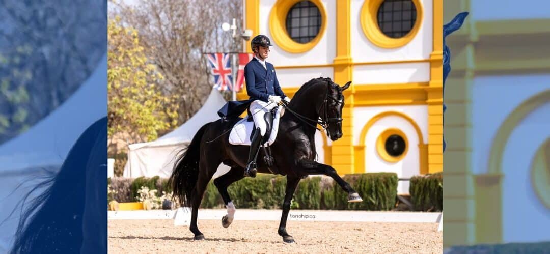 Alejandro Asencio y su fórmula para el bienestar de sus caballos: alimentación, entrenamiento y equilibrio
