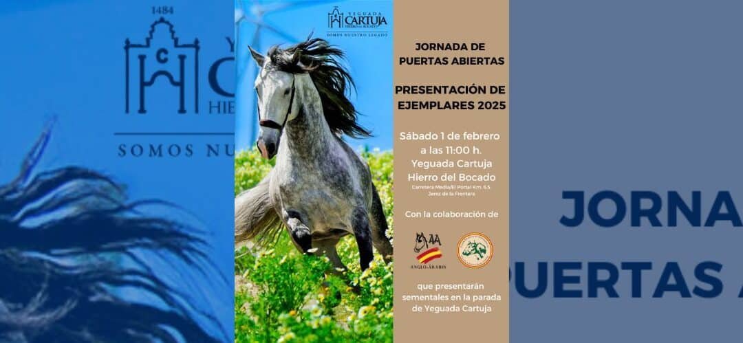 Yeguada Cartuja presenta dos sementales Anglo-árabes en su jornada de puertas abiertas 2025