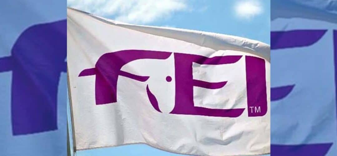 La FEI crea un “grupo de trabajo” para fortalecer el futuro de la Doma Clásica