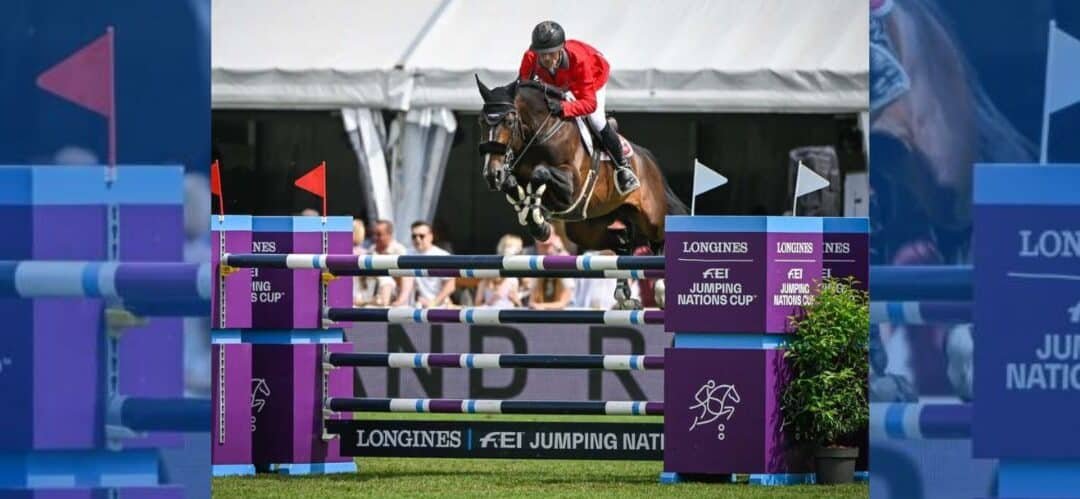 Vancouver de Lanlore se retira de la competición y comienza su nueva etapa como semental