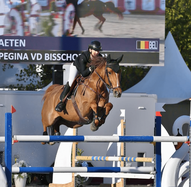 Pegina vd Bisschop: Nueva estrella en las cuadras de Shane Sweetnam
