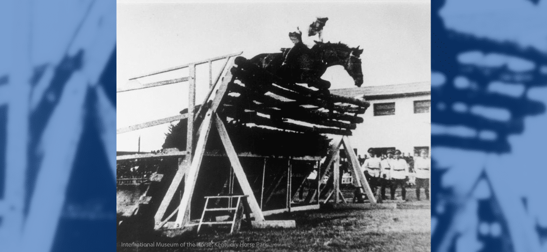 Huaso, el caballo que hizo historia