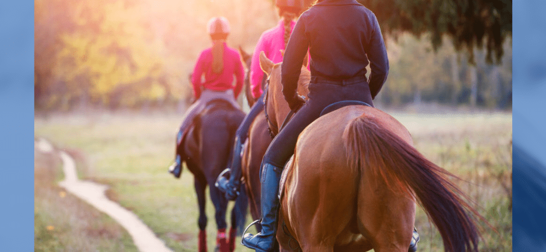 De escuela llena a vacía: por qué pierdes alumnos y cómo solucionarlo