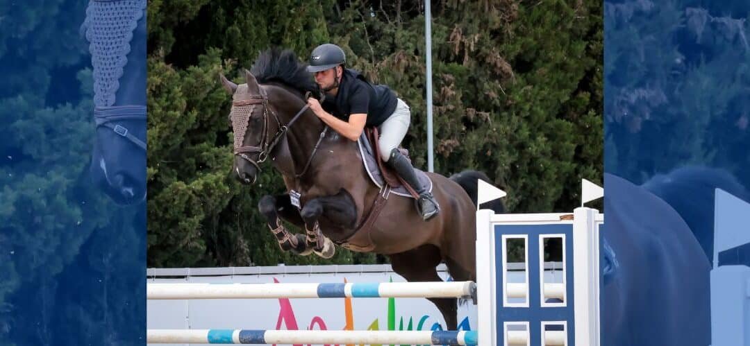Alrededor de 600 caballos jóvenes compiten en la primera jornada del Andalucía Sunshine Tour