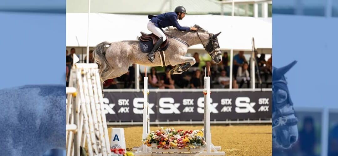 Bellagio Massuere vuela a Portugal con su nuevo jinete: Mario Prieto