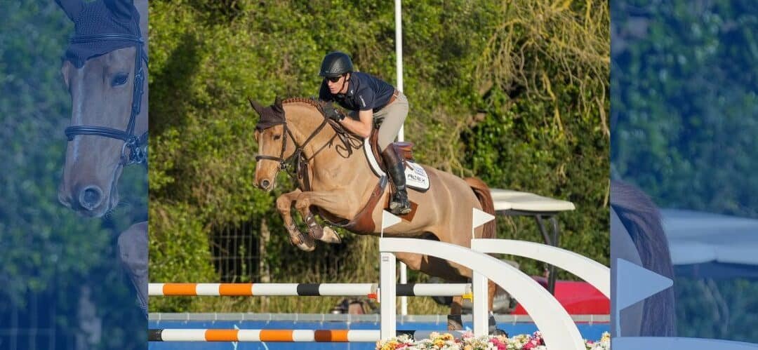 Hiron D’Elle y el sueco Alexander Zetterman vencen en 8 años