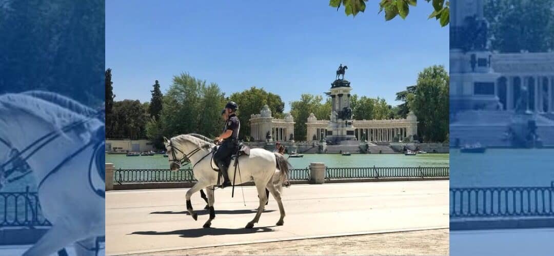 Nuevos problemas con los desechos de los caballos en Madrid