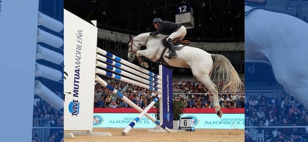 La importancia de cuidar las articulaciones de los caballos de Salto