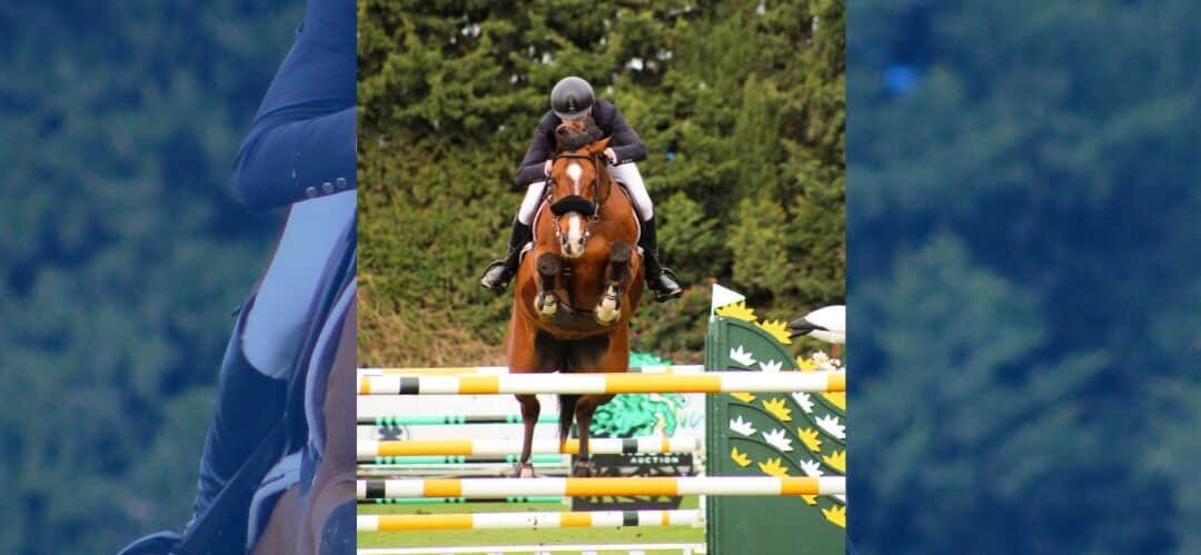 Cinco españoles buscan el podio en el GP del CSI4* del Andalucía Sunshine Tour