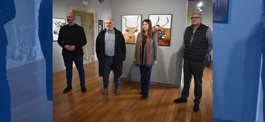 Impulso a la cría del caballo de Pura Raza Gallega con nuevas ayudas de la Xunta