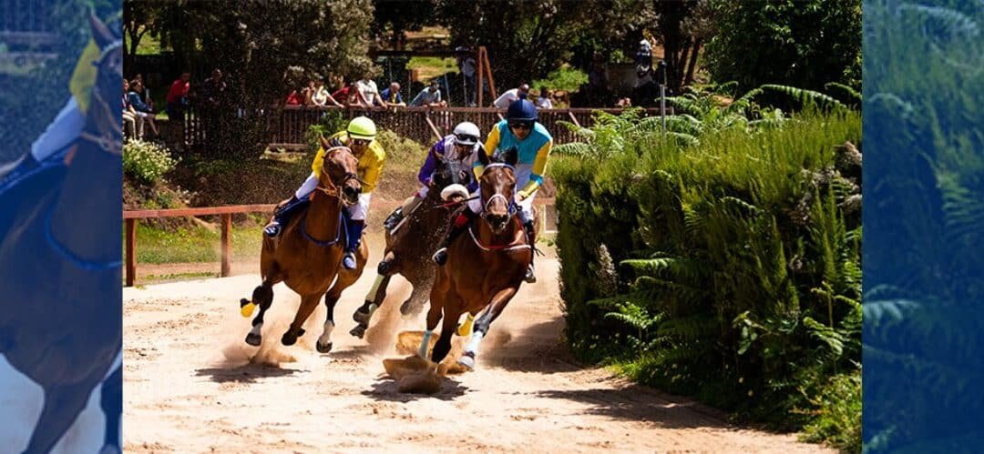 Valleseco se prepara para las Carreras de Caballos del Trofeo San Vicente Ferrer