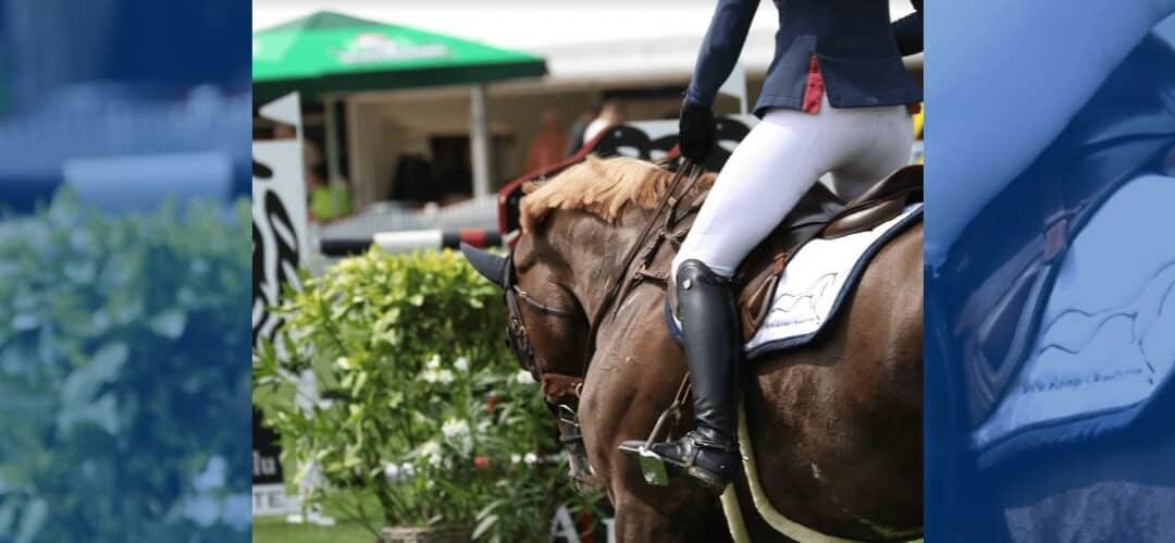 ¿Nos formamos realmente para montar a caballo?