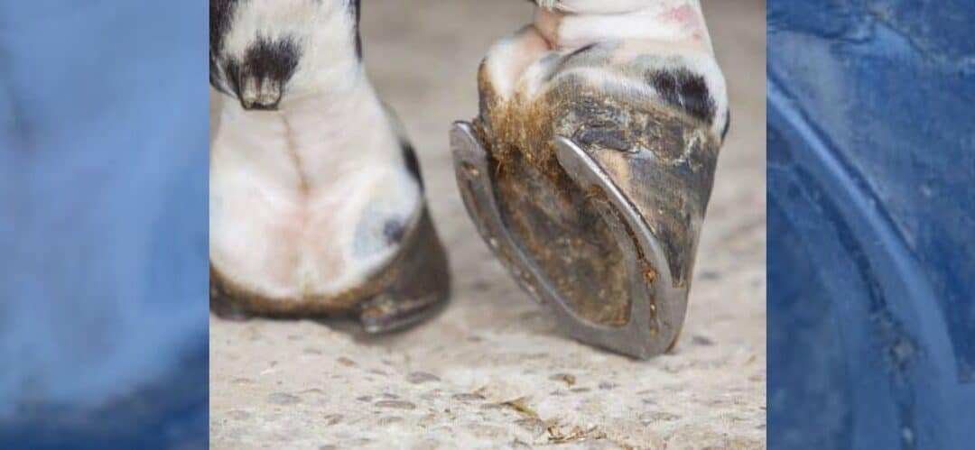 ¿Revisión del casco tras una caída?