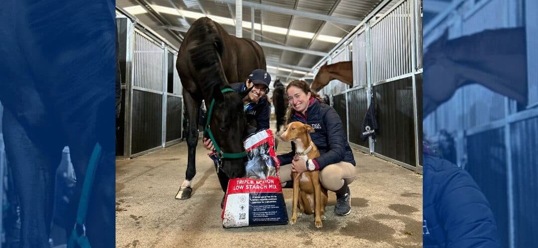 Los caballos alimentados por Dodson & Horrell brillan en la última semana del XXXI Andalucía Sunshine Tour