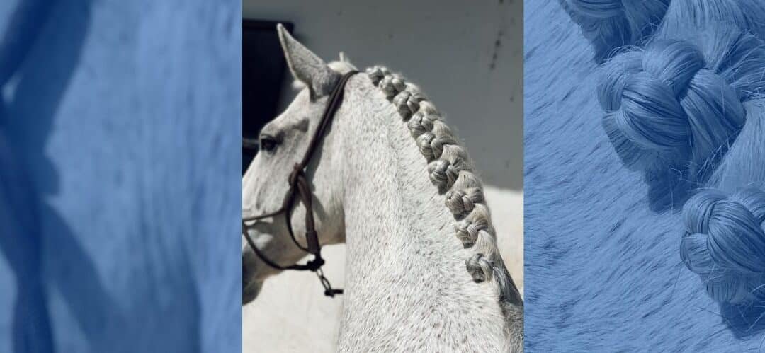 Cómo hacer coquitos en las crines de un caballo