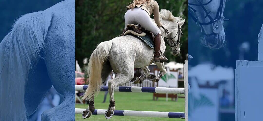 El hielo como aliado en el cuidado de las extremidades del caballo