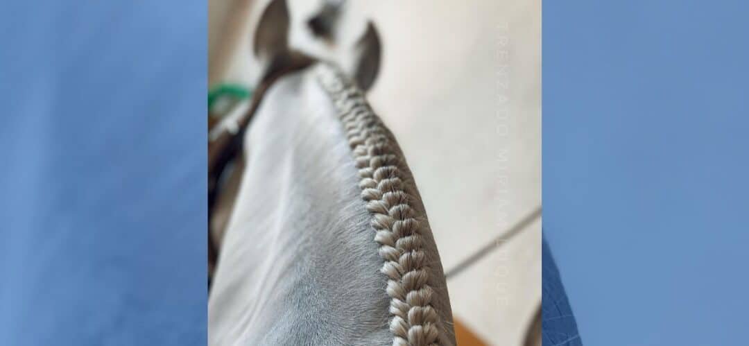 Cómo hacer una dragonera en las crines de un caballo