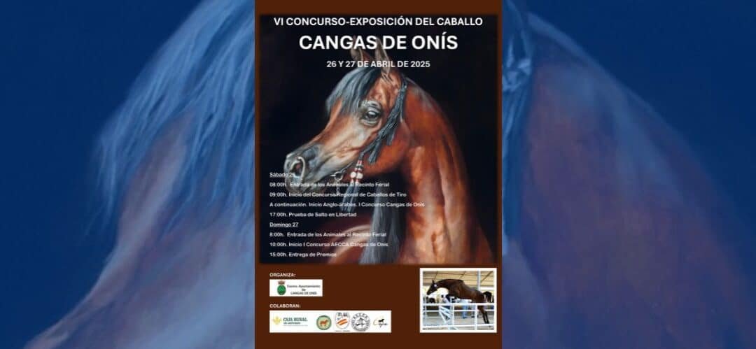 Cangas de Onís acoge el primer Concurso Morfológico de Caballos Anglo-árabes
