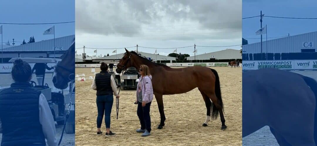 Listado de equipos y jinetes en el CSIO de Menores del Andalucía Sunshine Tour