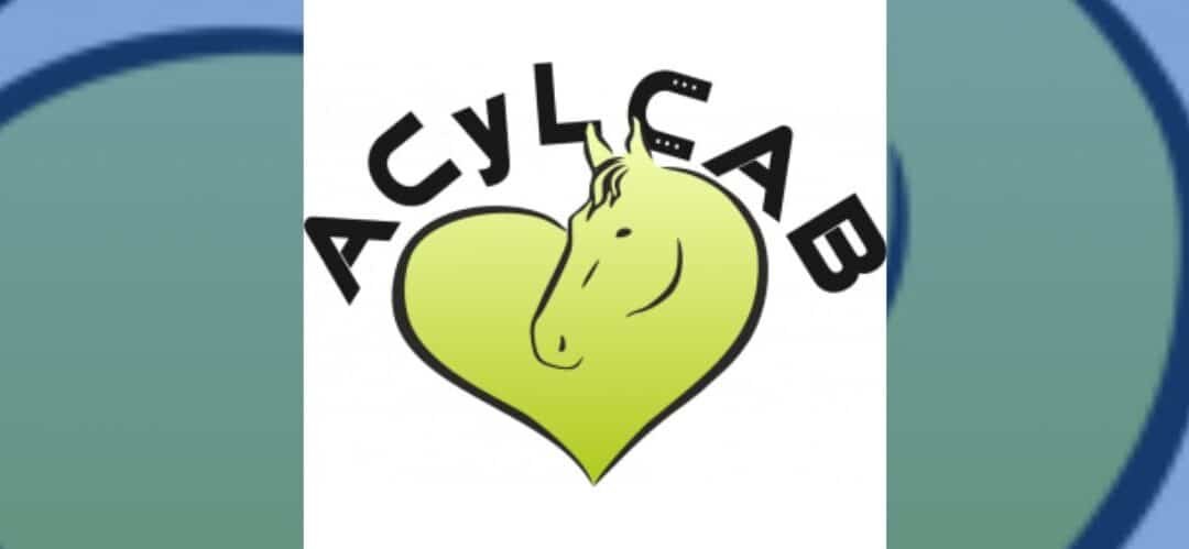 Bañobárez celebra la IV Feria Solidaria del Caballo en apoyo a la Asociación de Alzheimer de Salamanca