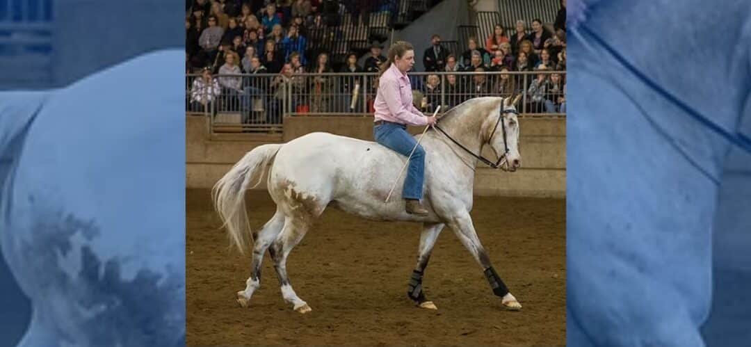 Entrevista a Morgan, propietaria de Endo, caballo ciego con 3 récords Guinness