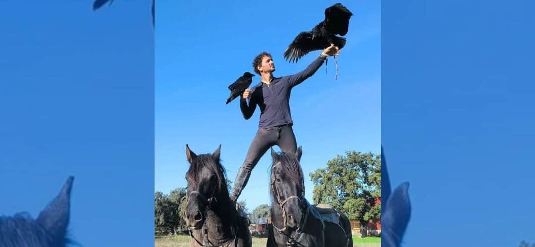 La Feira do Cabalo de Lalín celebra su 35ª edición con un programa para todos los públicos