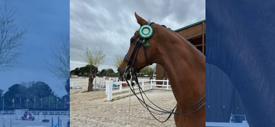 Eva Gonzalo gana el Campeonato Universitario de Doma Clásica en Madrid