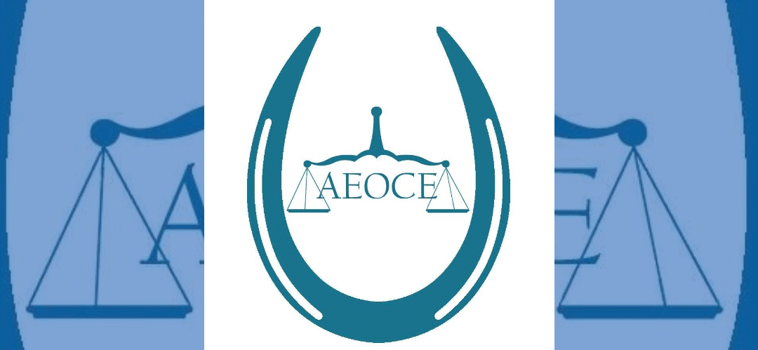 AEOCE inicia una nueva etapa con un compromiso firme hacia la excelencia de sus oficiales en competición