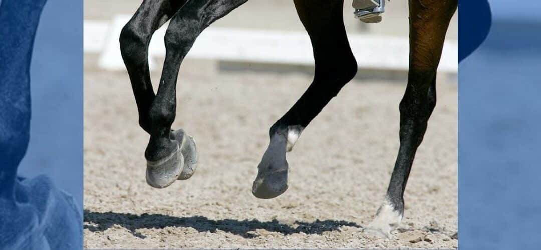 La historia de la herradura