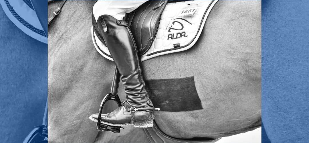 Alda Stables pone rumbo a MET Oliva este fin de semana